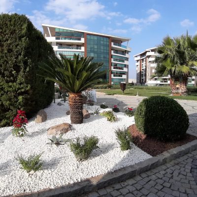 WhatsApp Image 2020-11-16 at 13.54.26