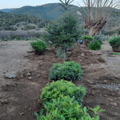 WhatsApp Image 2020-12-23 at 13.58.02