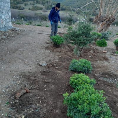 WhatsApp Image 2020-12-23 at 13.58.03