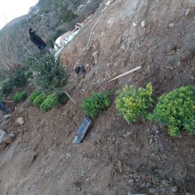 WhatsApp Image 2020-12-23 at 13.58.22