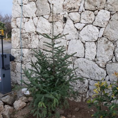 WhatsApp Image 2020-12-27 at 16.01.19 (1)