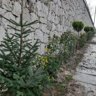 WhatsApp Image 2020-12-27 at 16.01.19