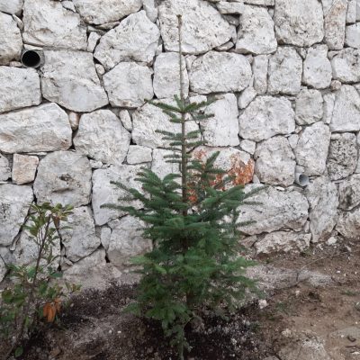 WhatsApp Image 2020-12-27 at 16.01.25