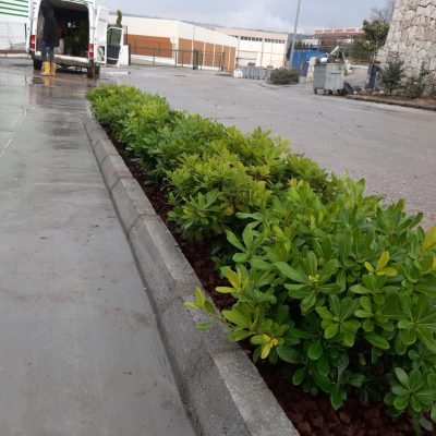 WhatsApp Image 2020-12-27 at 16.01.26