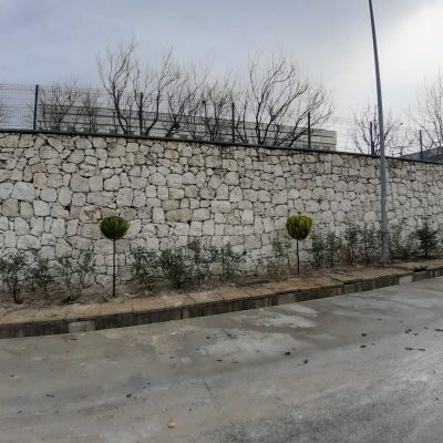 WhatsApp Image 2020-12-27 at 16.01.27 (1)