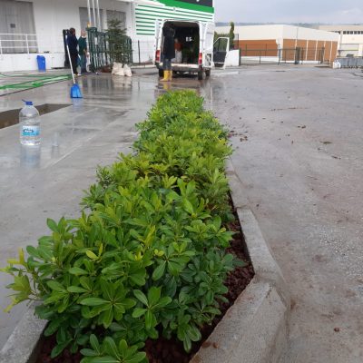 WhatsApp Image 2020-12-27 at 16.01.27