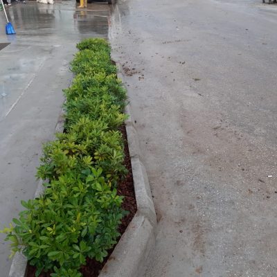 WhatsApp Image 2020-12-27 at 16.01.29