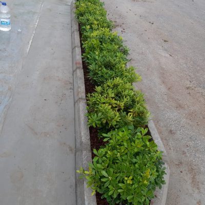 WhatsApp Image 2020-12-27 at 16.01.33