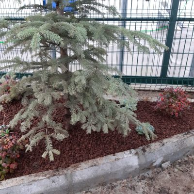 WhatsApp Image 2020-12-27 at 16.01.38