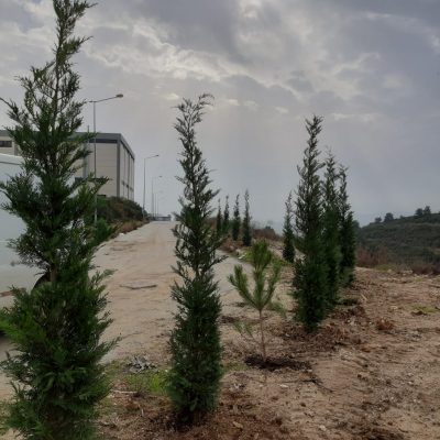 WhatsApp Image 2021-01-11 at 13.43.40