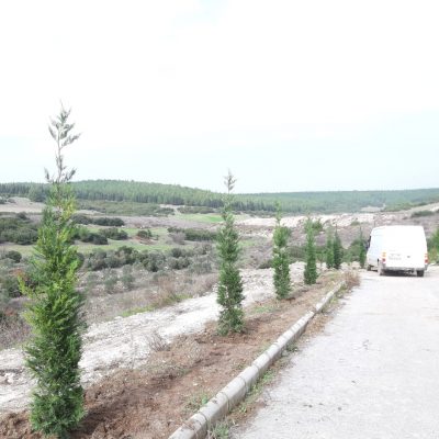 WhatsApp Image 2021-01-11 at 13.43.42