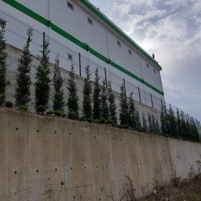 WhatsApp Image 2021-01-11 at 13.43.43 (2)