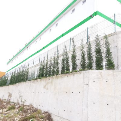 WhatsApp Image 2021-01-11 at 13.43.44 (2)