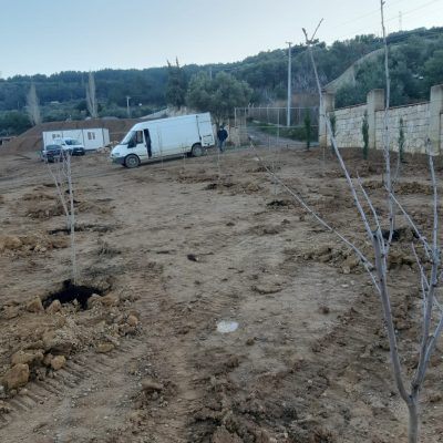 WhatsApp Image 2021-01-15 at 11.14.17