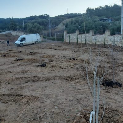 WhatsApp Image 2021-01-15 at 11.14.18