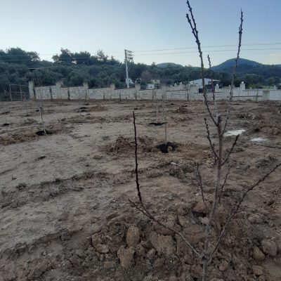 WhatsApp Image 2021-01-15 at 11.14.19