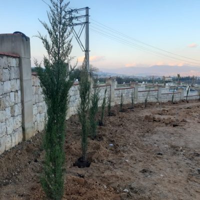 WhatsApp Image 2021-01-15 at 11.14.21