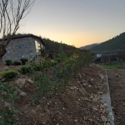 WhatsApp Image 2021-01-17 at 01.21.48 (1)