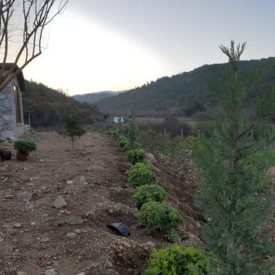 WhatsApp Image 2021-01-17 at 01.21.48 (2)