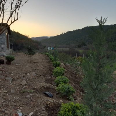 WhatsApp Image 2021-01-17 at 01.21.48