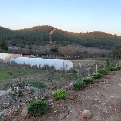 WhatsApp Image 2021-01-17 at 01.21.49 (1)