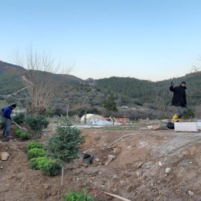 WhatsApp Image 2021-01-17 at 01.21.49