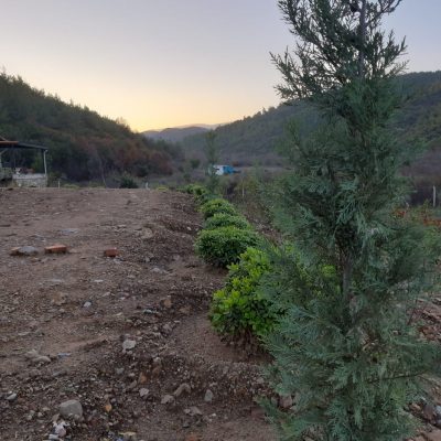 WhatsApp Image 2021-01-17 at 01.21.50 (1)