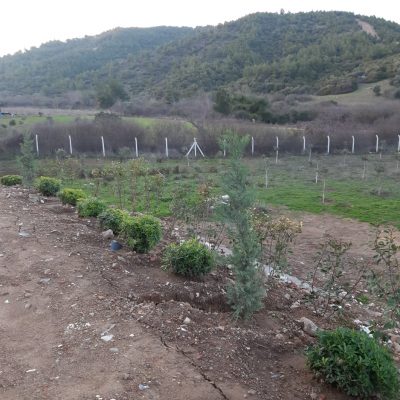 WhatsApp Image 2021-01-17 at 01.21.50