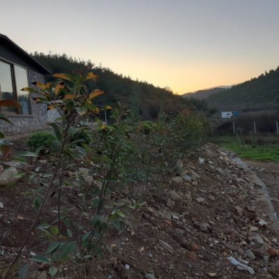 WhatsApp Image 2021-01-17 at 01.21.51 (1)