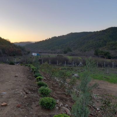 WhatsApp Image 2021-01-17 at 01.21.51