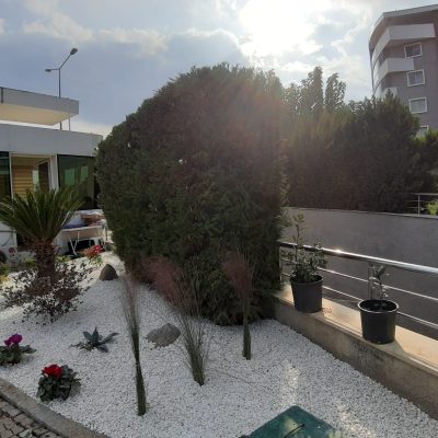 WhatsApp Image 2021-01-17 at 01.23.40 (1)