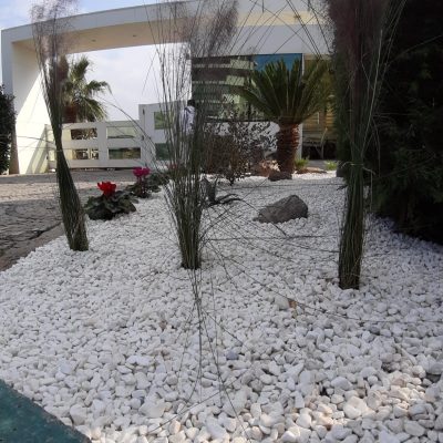 WhatsApp Image 2021-01-17 at 01.23.40