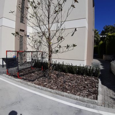 WhatsApp Image 2021-01-17 at 01.23.41