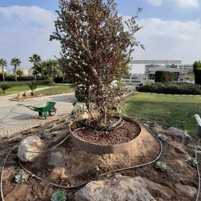 WhatsApp Image 2021-01-17 at 01.26.22 (3)