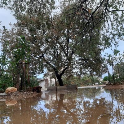 WhatsApp Image 2021-01-17 at 01.26.22