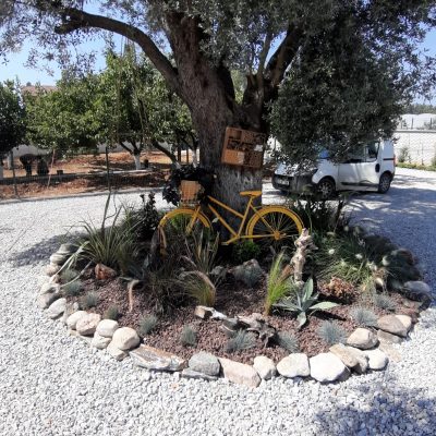 WhatsApp Image 2021-01-17 at 01.26.23 (1)