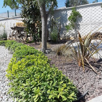 WhatsApp Image 2021-01-17 at 01.26.24