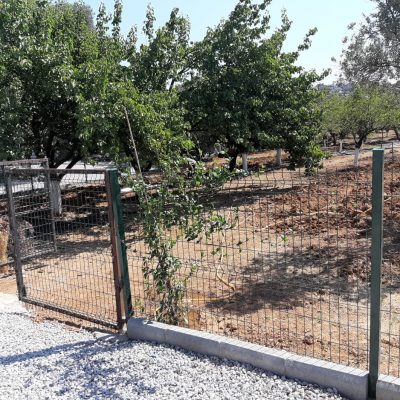 WhatsApp Image 2021-01-17 at 01.26.25