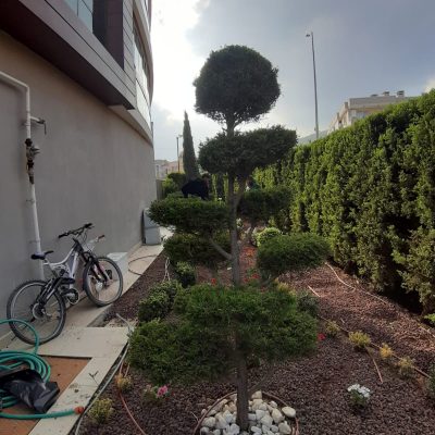 WhatsApp Image 2021-01-17 at 01.27.23 (2)