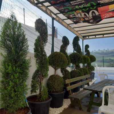 WhatsApp Image 2021-01-17 at 01.27.23