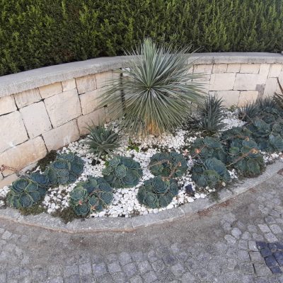 WhatsApp Image 2021-01-17 at 01.27.53 (1)