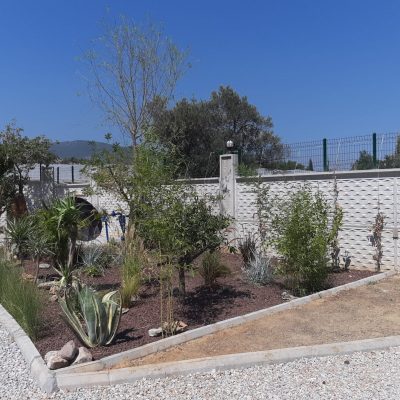 WhatsApp Image 2021-01-17 at 01.27.53