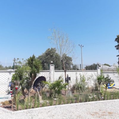 WhatsApp Image 2021-01-17 at 01.27.54