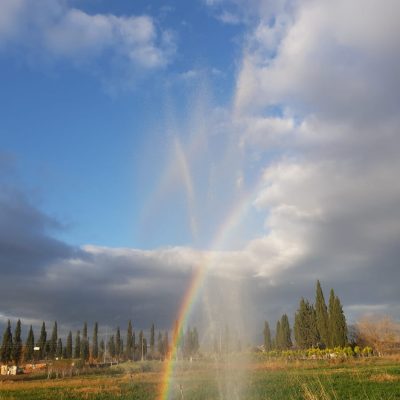 WhatsApp Image 2021-01-17 at 01.27.55