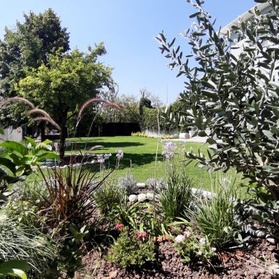 WhatsApp Image 2021-01-17 at 01.28.50 (1)