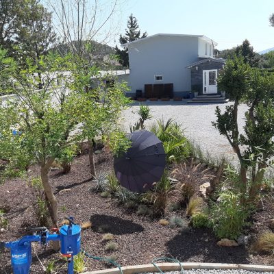 WhatsApp Image 2021-01-17 at 01.28.50 (2)