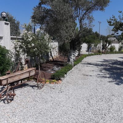 WhatsApp Image 2021-01-17 at 01.28.50