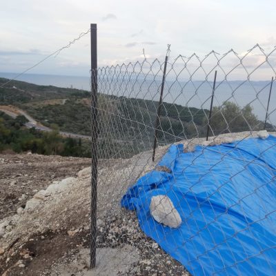 WhatsApp Image 2021-01-17 at 01.29.53 (1)