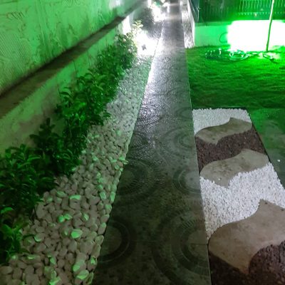 WhatsApp Image 2021-01-17 at 01.34.08 (1)