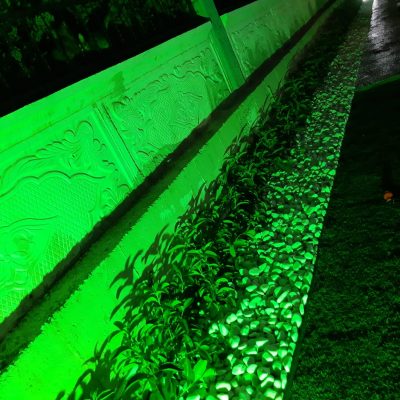 WhatsApp Image 2021-01-17 at 01.34.09 (1)